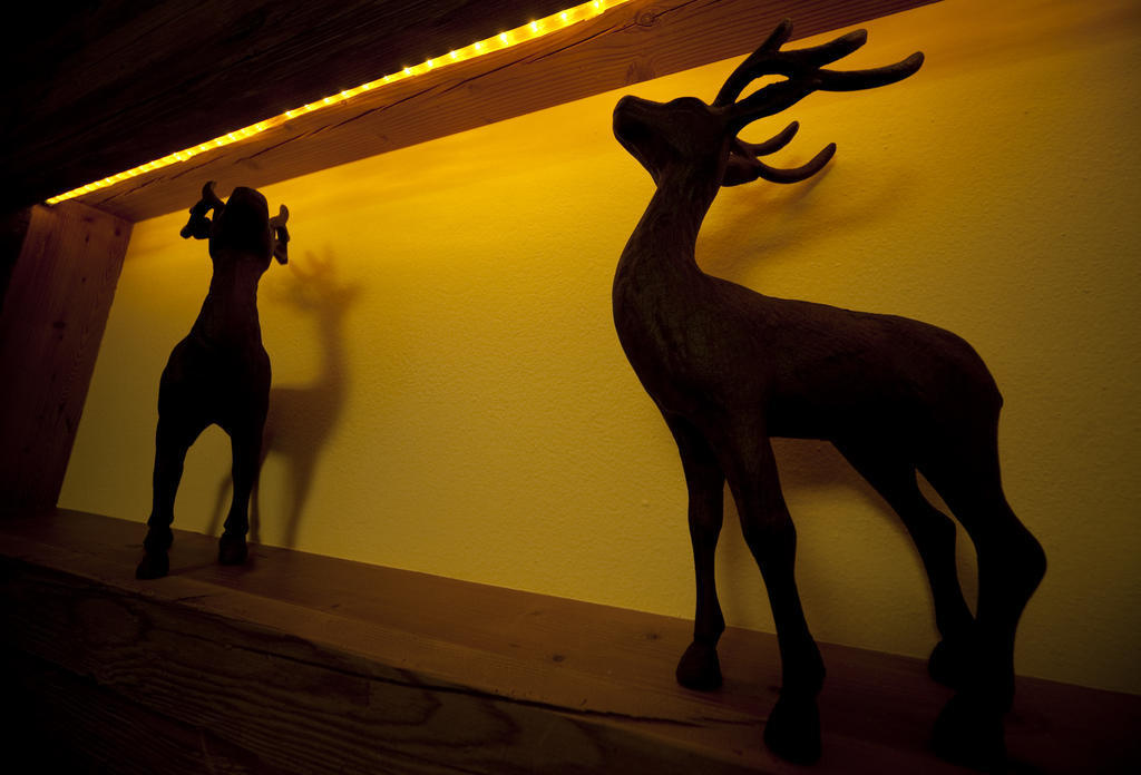 Pension Restaurant Dorfalm Leogang Dış mekan fotoğraf
